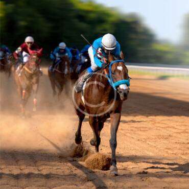 Don’t bet without this strategy